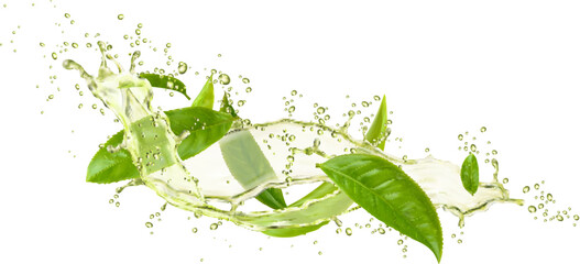 Green tea drink swirl splashes with leaves and drops. Isolated 3d vector herbal transparent beverage cascade with fresh foliage. Aqua splashing droplets, fresh clear natural refreshment flow