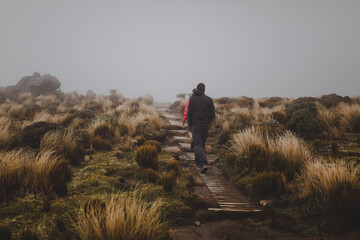 High angle shot of a couple hiking on a wooden path covered in fog on the Mount Taranaki in New Zealand