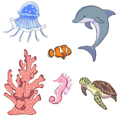 海のいきもの