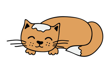 Hand drawn cat clipart. Cute pet doodle