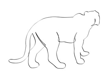 simple vector hand draw sketch tiger or big deer, isolated on white