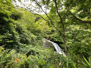 210702東根の関山大滝

滝
関山大滝
