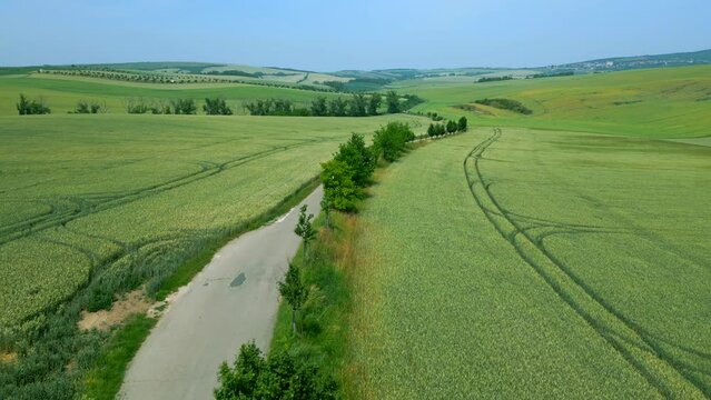 Rolling agricultural fields in the Moravian region, a narrow road carved through the farmlands, Czech Republic, Aerial shot 