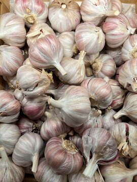 Close up image of garlic
