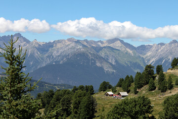 Fototapeta na wymiar Schöne Alm und Berge