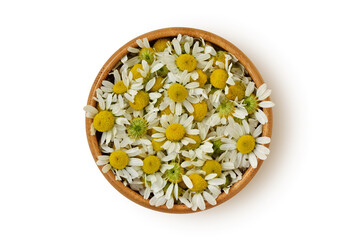 Chamomile flowers in wooden bowl on white background