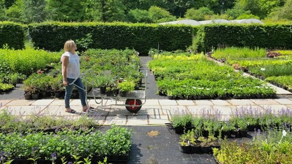 Drone Shot Of Mature Woman Customer Pushing Trolley In Garden Centre Choosing Plants