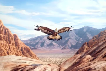  an eagle flies in the mountains that are in the desert © Angah