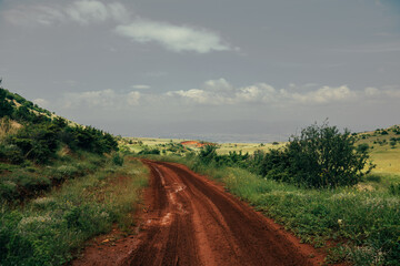 road in the field