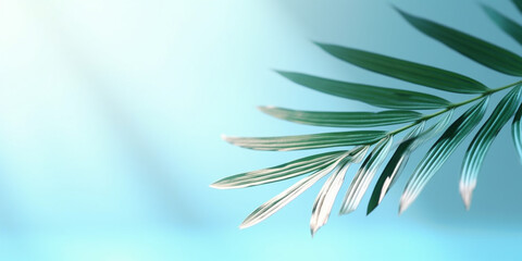 Obraz premium Blurred shadow from palm leaves on the light blue wall. Minimal abstract background for product presentation. Spring and summer