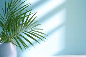 Blurred shadow from palm leaves on the light blue wall. Minimal abstract background for product presentation. Spring and summer