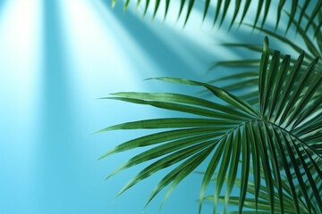 Fototapeta premium Blurred shadow from palm leaves on the light blue wall. Minimal abstract background for product presentation. Spring and summer