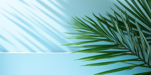 Blurred shadow from palm leaves on the light blue wall. Minimal abstract background for product presentation. Spring and summer
