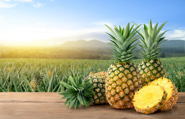 Pineapple fruits with slices on wooden table in pineapple farming.