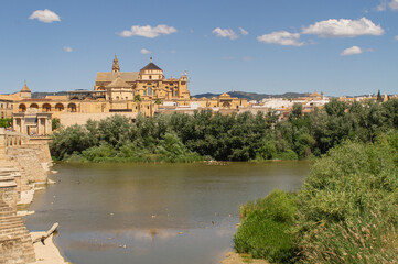 Fototapeta premium Roman bridge and mosque of Cordoba.