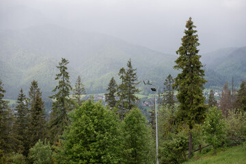 Panorama of the Tatra mountains. Mountain peaks in the clouds. Tall firs on the slopes of the mountains.