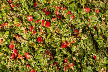 Tabbouleh salad. Healthy appetizers. Vegetarian salad with parsley, mint, bulgur, tomato. food background