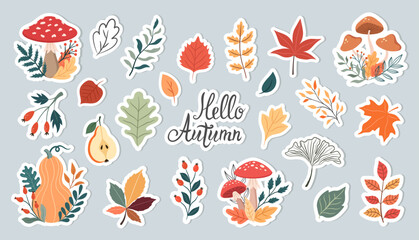 Vector set of autumn plants, mushrooms