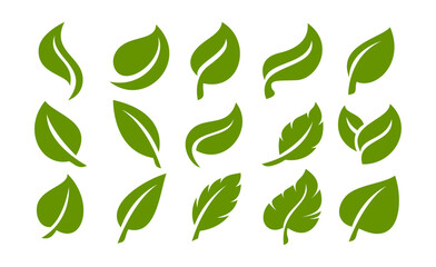 Set of simple flat organic leaf design template
