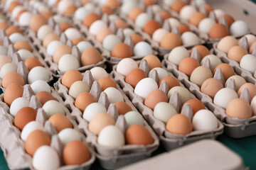 Brown, white, and green eggs from a small farm, packaged up and ready for sale at a farmers market.