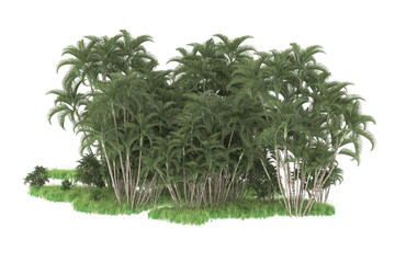 Tropical island isolated on transparent background. 3d rendering - illustration