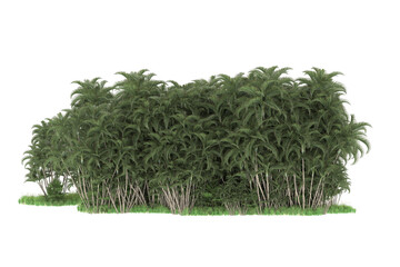 Tropical island isolated on transparent background. 3d rendering - illustration