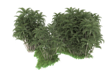 Tropical island isolated on transparent background. 3d rendering - illustration