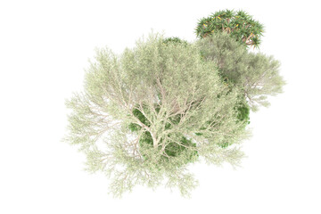 Obraz premium Tropical island isolated on transparent background. 3d rendering - illustration