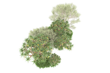 Tropical island isolated on transparent background. 3d rendering - illustration