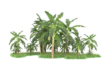 Tropical island isolated on transparent background. 3d rendering - illustration