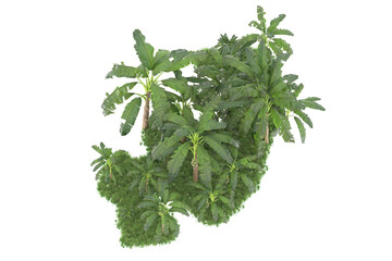 Tropical island isolated on transparent background. 3d rendering - illustration