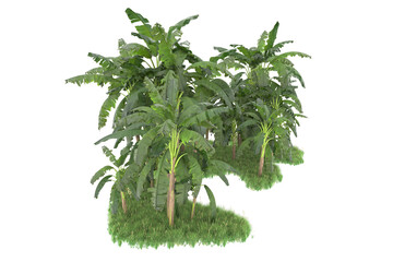 Tropical island isolated on transparent background. 3d rendering - illustration