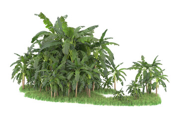 Tropical island isolated on transparent background. 3d rendering - illustration