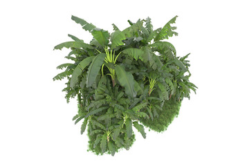 Tropical island isolated on transparent background. 3d rendering - illustration