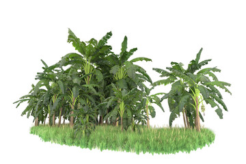 Tropical island isolated on transparent background. 3d rendering - illustration