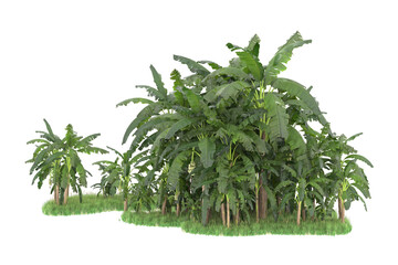 Tropical island isolated on transparent background. 3d rendering - illustration
