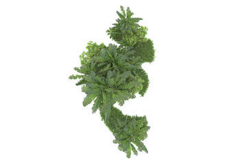 Fototapeta premium Tropical island isolated on transparent background. 3d rendering - illustration