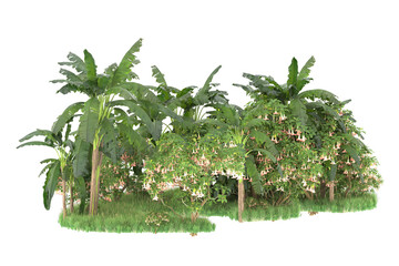 Fototapeta premium Tropical island isolated on transparent background. 3d rendering - illustration