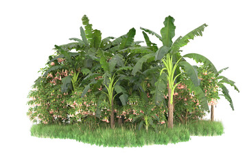 Tropical island isolated on transparent background. 3d rendering - illustration