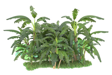 Tropical island isolated on transparent background. 3d rendering - illustration