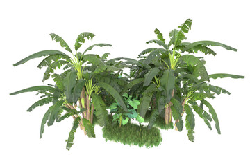 Tropical island isolated on transparent background. 3d rendering - illustration