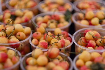 Countless cartons of ripe organic cherries are ready for sale at a farmers market.