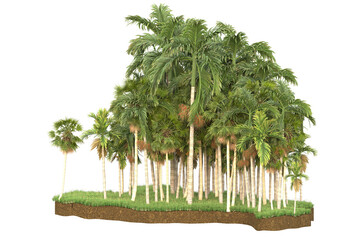Tropical island isolated on transparent background. 3d rendering - illustration