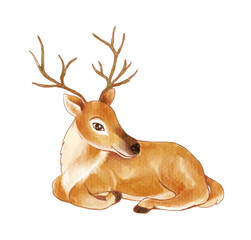 watercolor of deer cartoon character