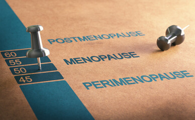 Average menopause age timeline. - obrazy, fototapety, plakaty