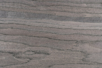 Obraz premium Oak. A palette of wood decor samples of different colors and textures. Wooden brown panel with natural wood texture. Wood with a beautiful organic pattern