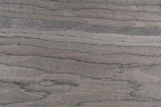 Oak. A palette of wood decor samples of different colors and textures. Wooden brown panel with natural wood texture. Wood with a beautiful organic pattern
