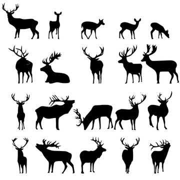large collection of deer silhouettes