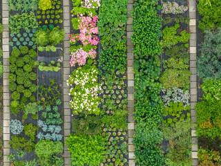 Aerial view of garden with homegrown vegetables. Concept of organic gardening at home.