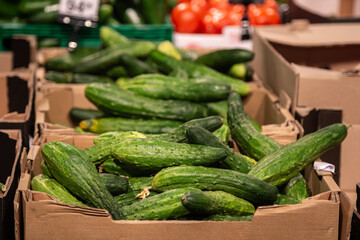Fresh cucumber in box sale green grocery food store.